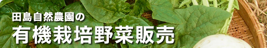 田島自然農園の有機野菜販売