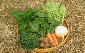 季節の野菜詰め合わせ