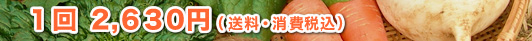 1回2,630円(送料・消費税込)