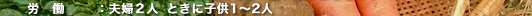 労働：夫婦二人ときに子供1～2人