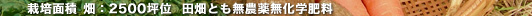 栽培面積畑：2500坪位田畑とも無農薬無化学肥料