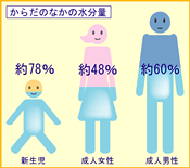 からだの中の水分量