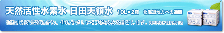 天然活性水素水 日田天領水 10L（2箱セット） 北海道地方への通販