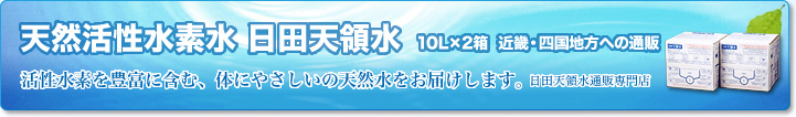 天然活性水素水 日田天領水 10L×2箱 近畿・四国地方への通販