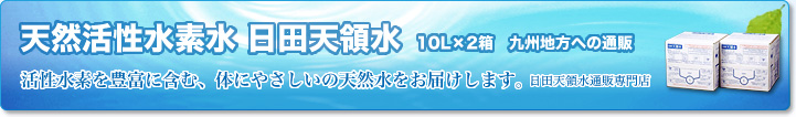 天然活性水素水 日田天領水 10L（2箱セット） 九州地方への通販