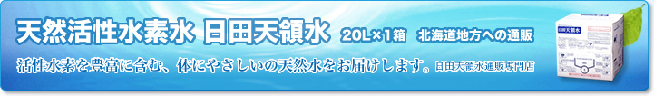 天然活性水素水 日田天領水 20L 北海道地方への通販